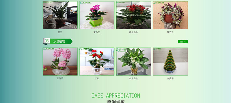 盛花世景